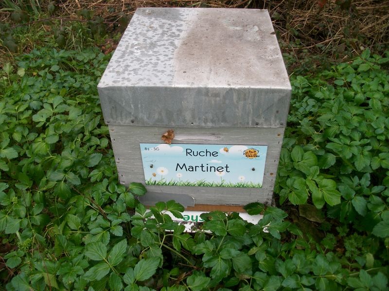 La ruche 