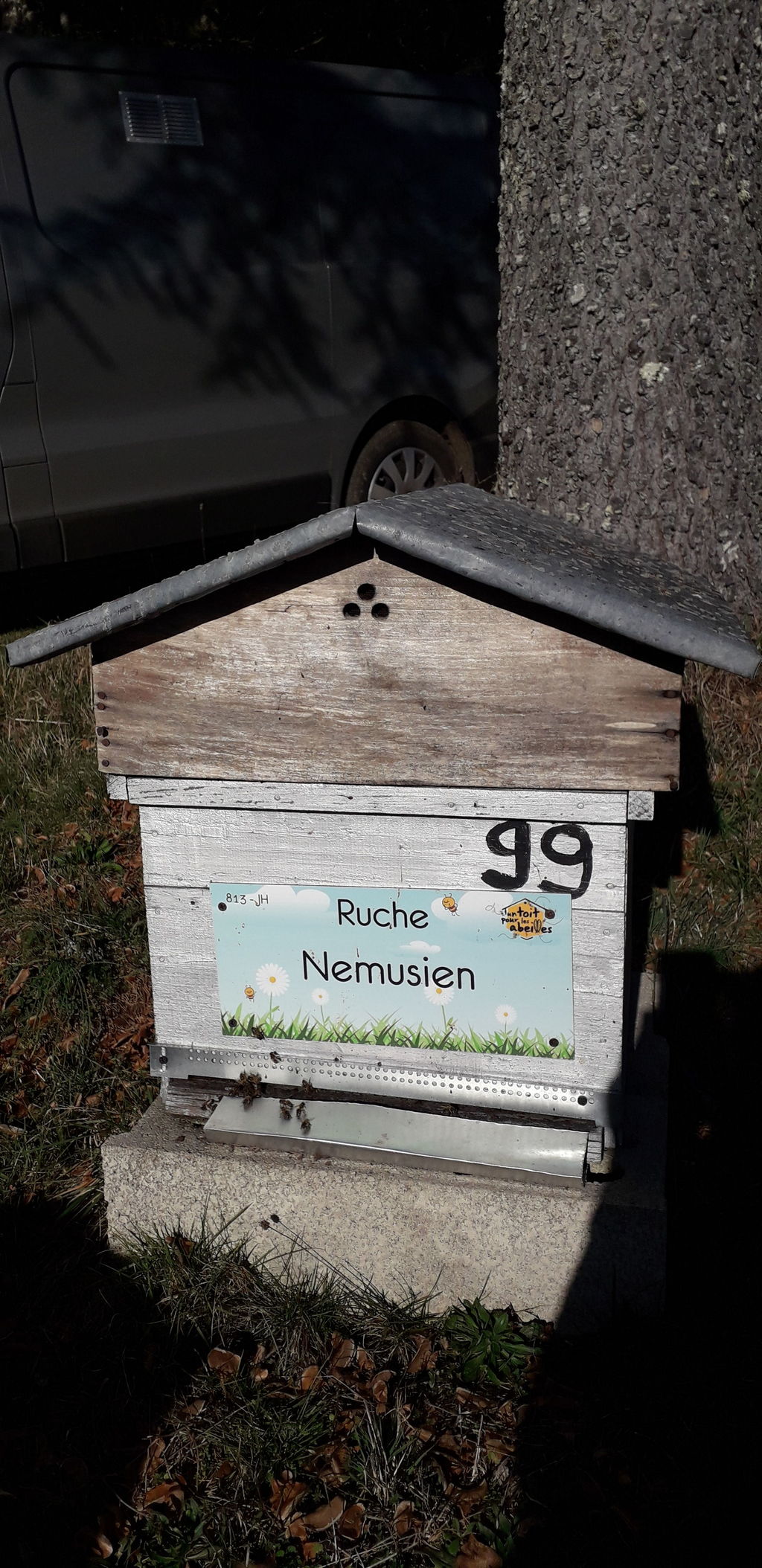 La ruche Nemusien