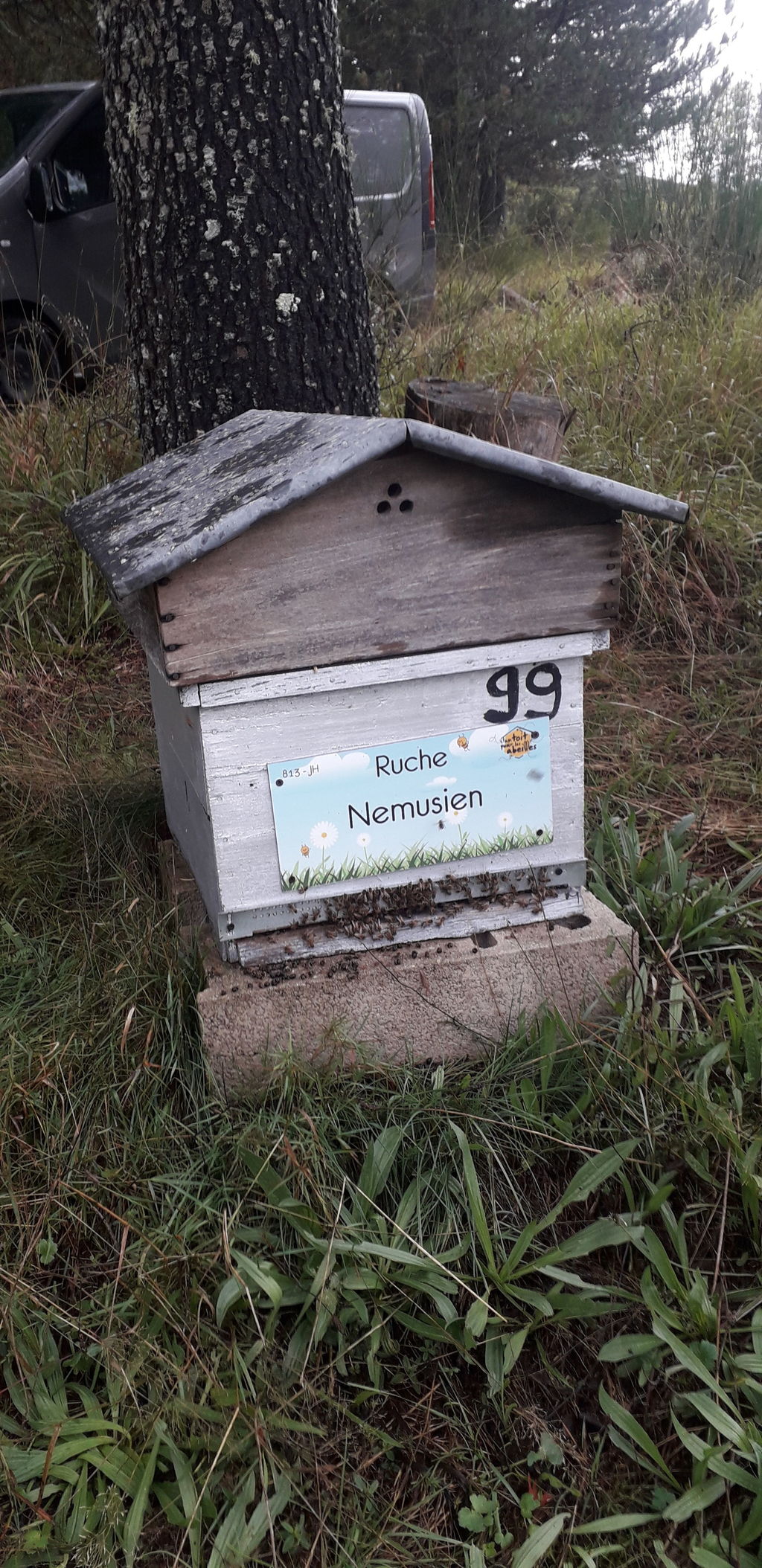 La ruche Nemusien
