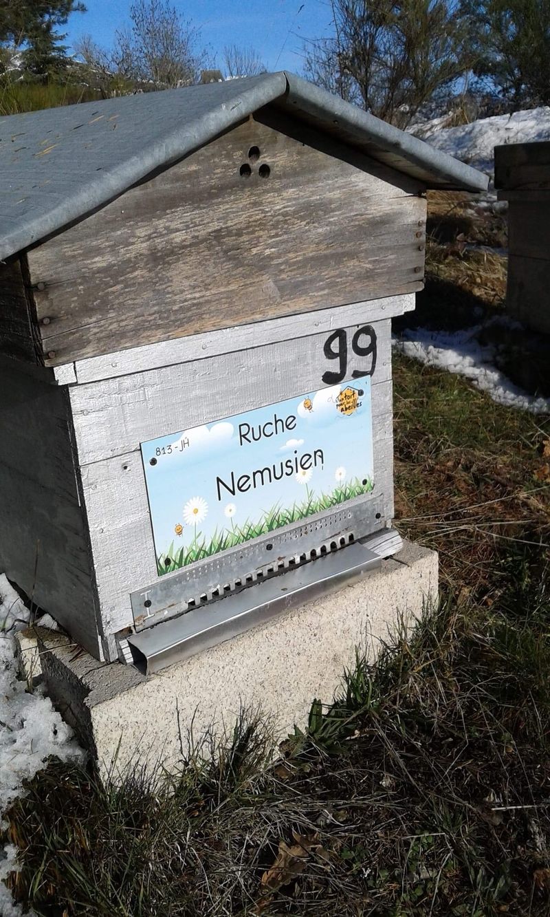 La ruche Nemusien
