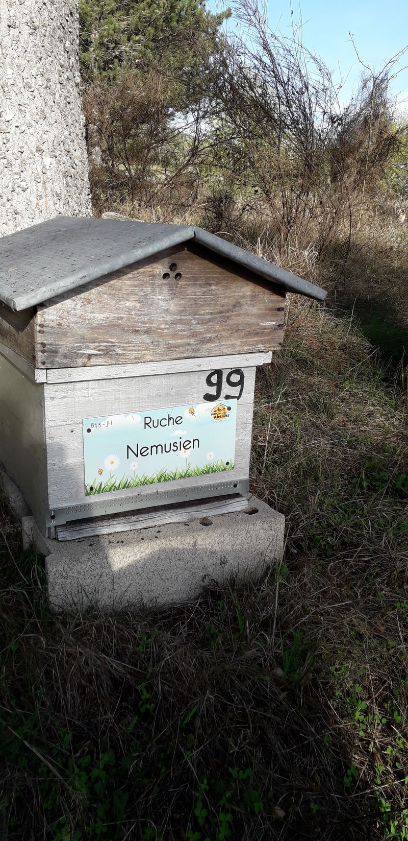 La ruche Nemusien