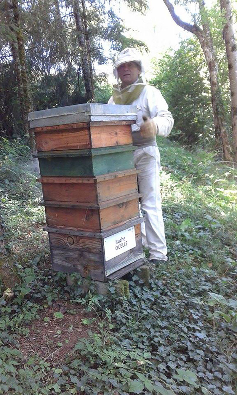 La ruche Ocelle
