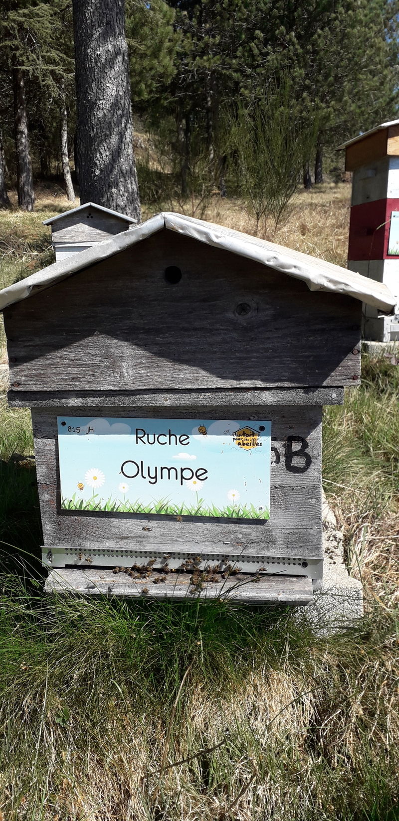 La ruche Olympe