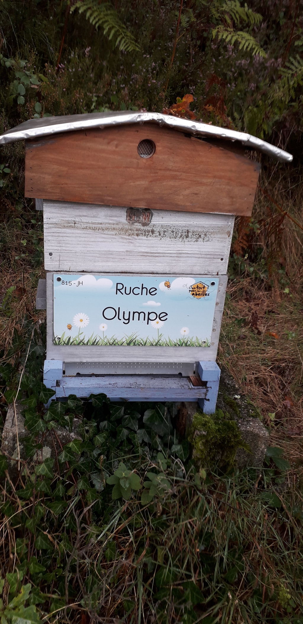 La ruche Olympe