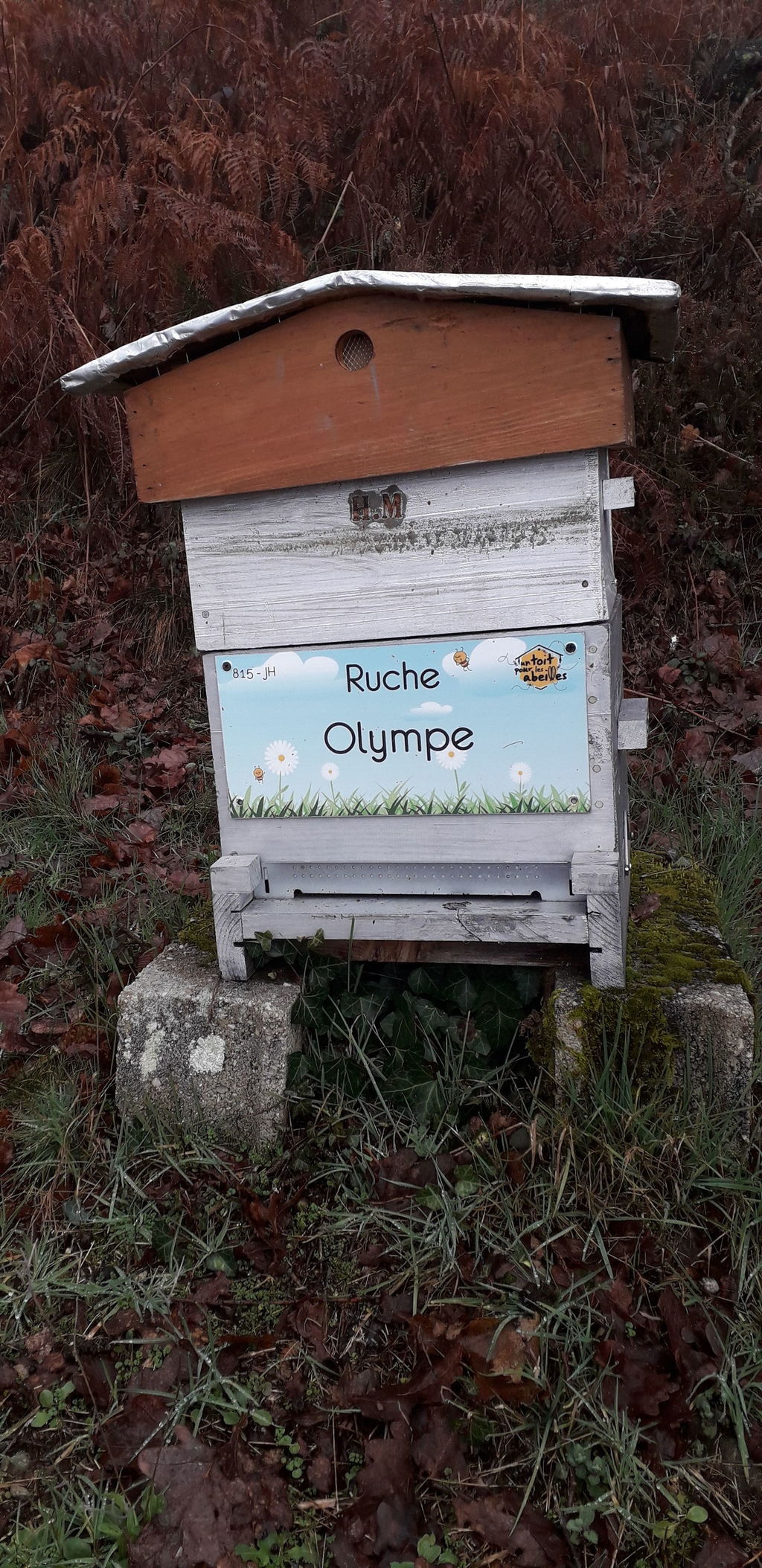 La ruche Olympe