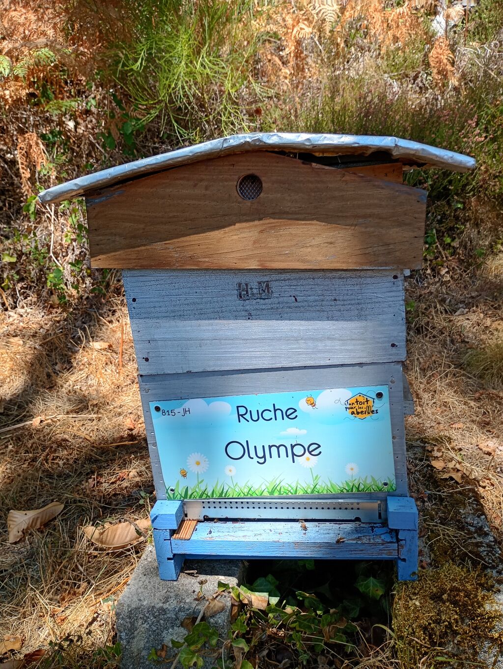 La ruche Olympe