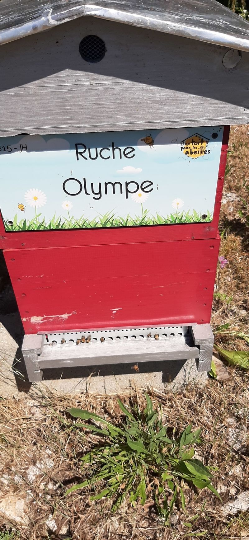 La ruche Olympe