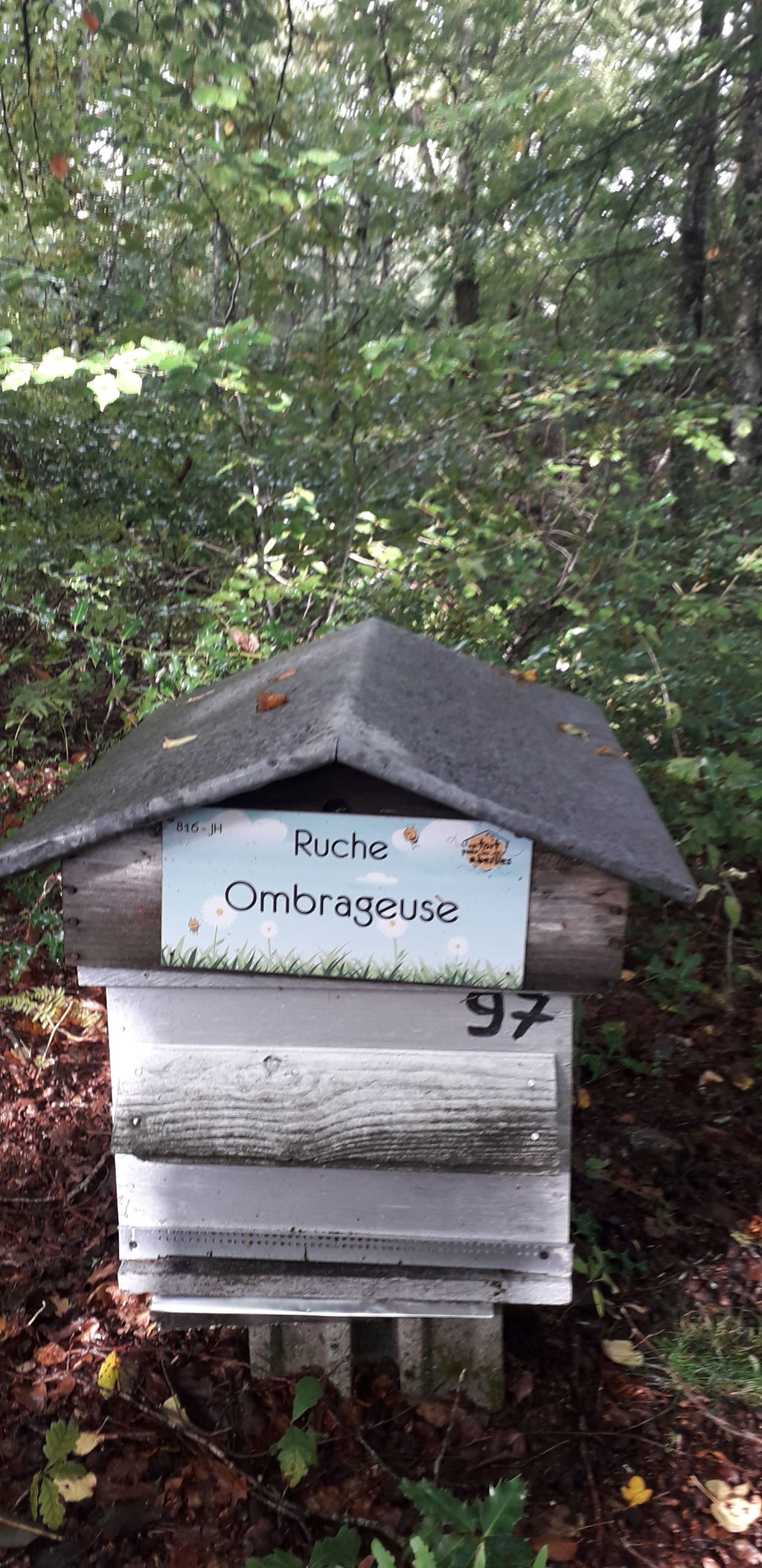 La ruche Ombrageuse