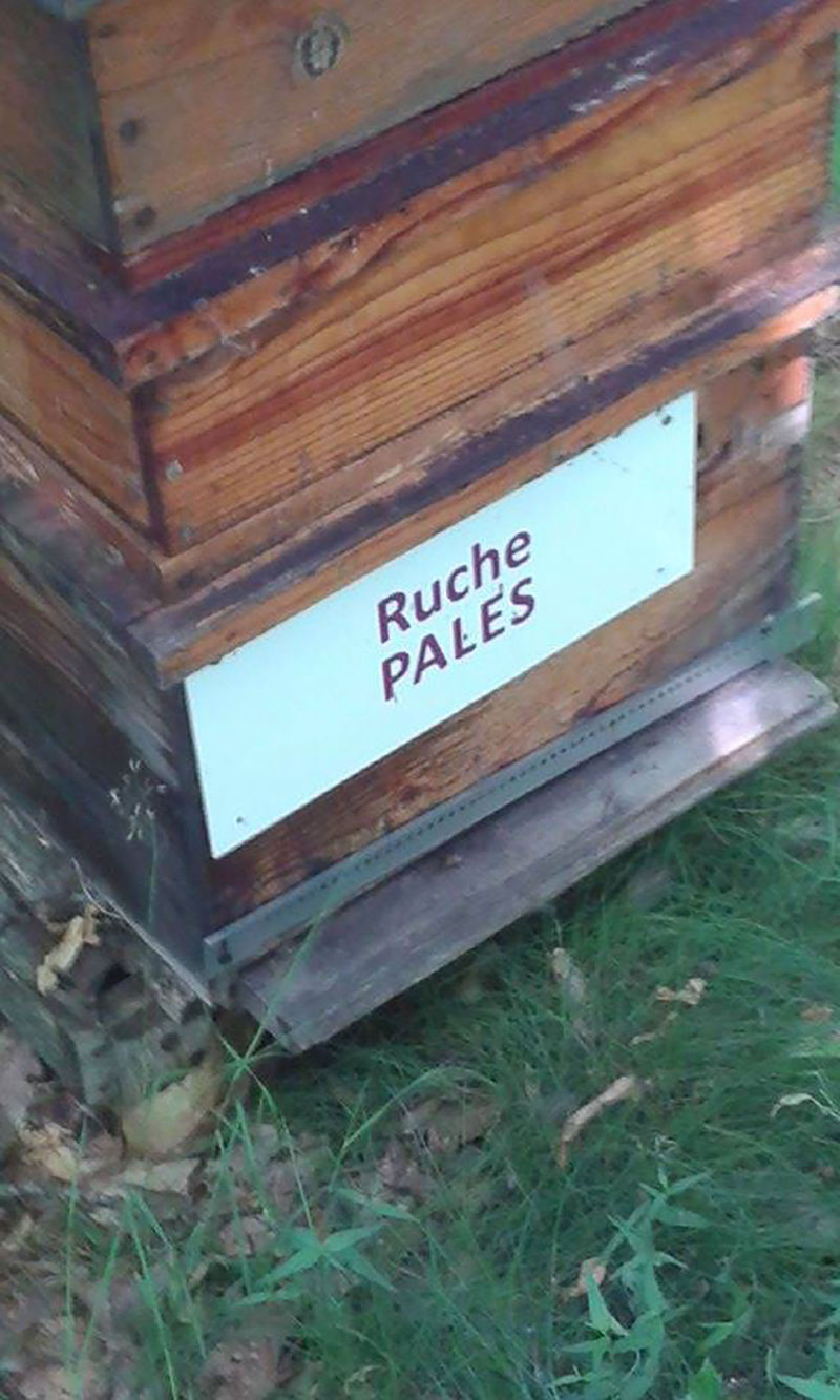 La ruche Pales