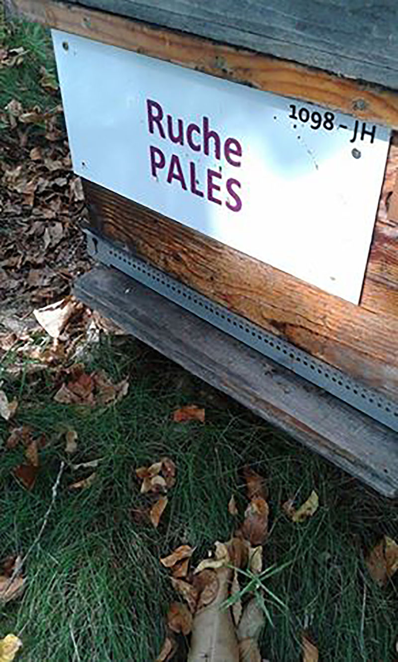 La ruche Pales
