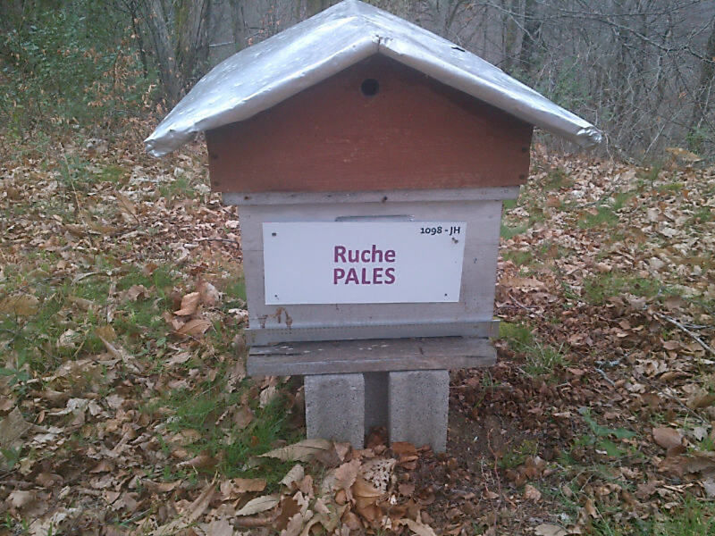 La ruche Pales