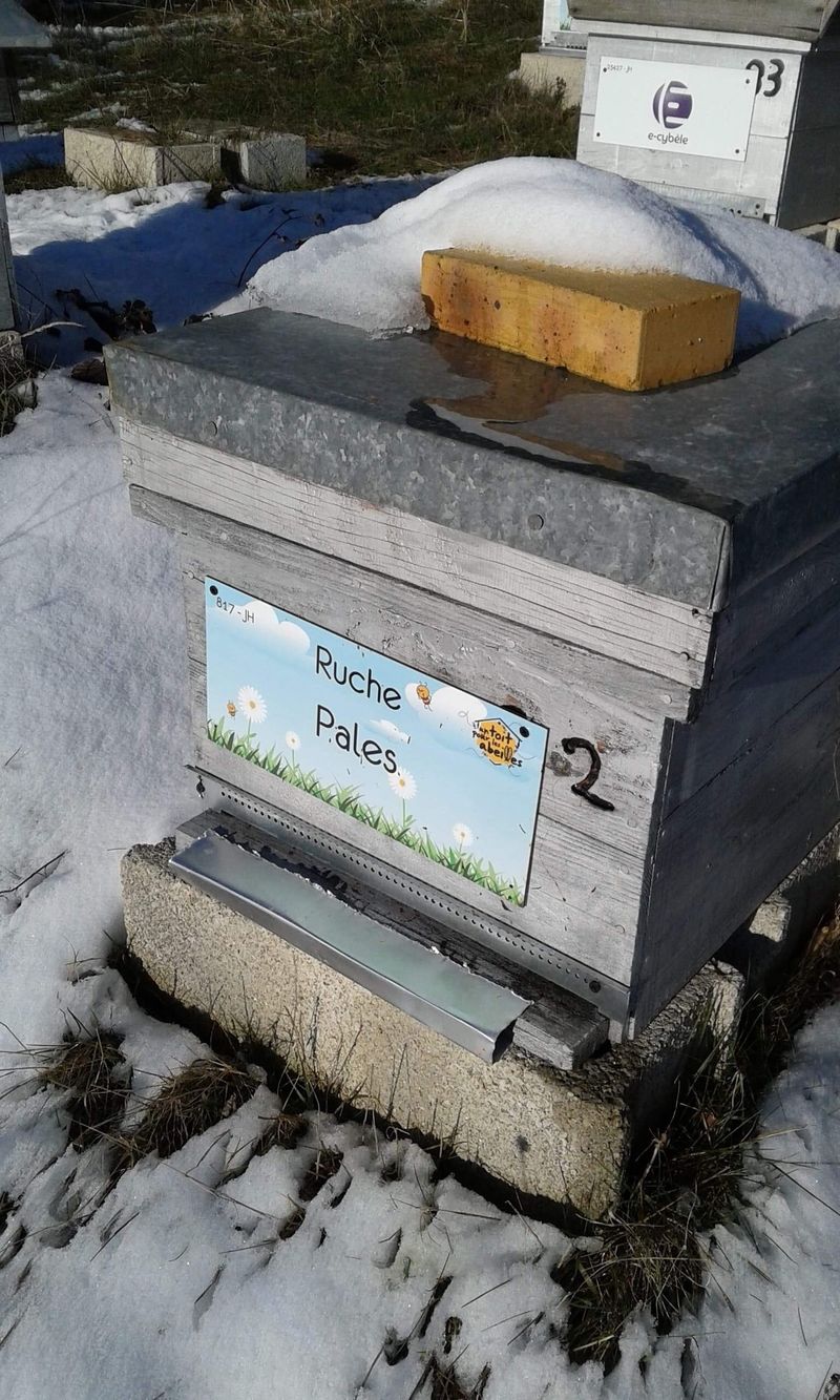 La ruche Pales