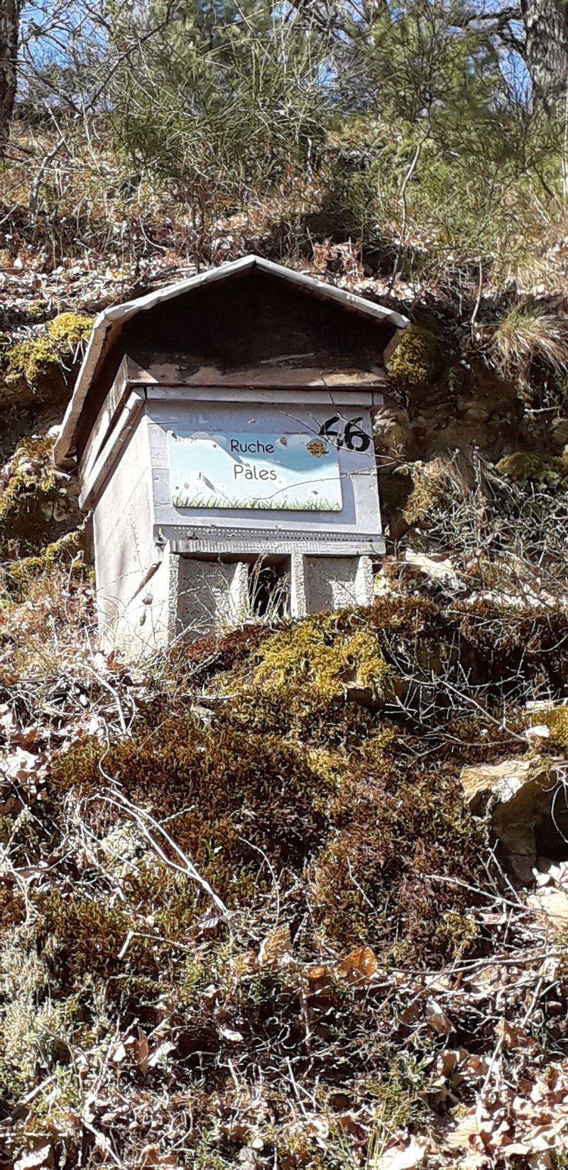La ruche Pales