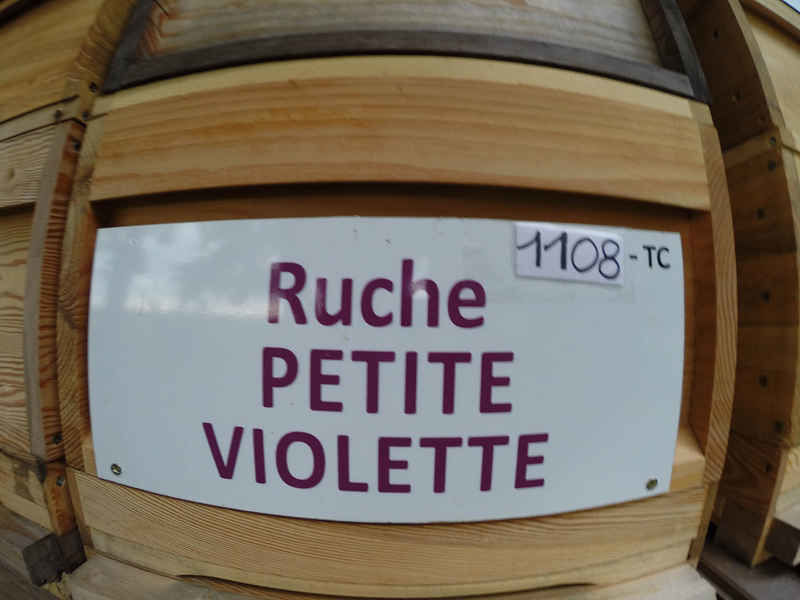 La ruche Petite violette