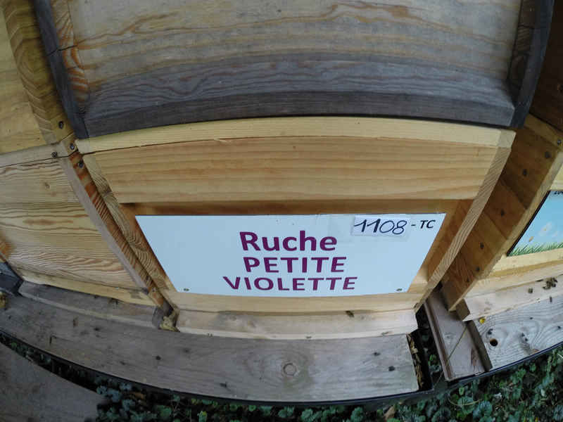 La ruche Petite violette