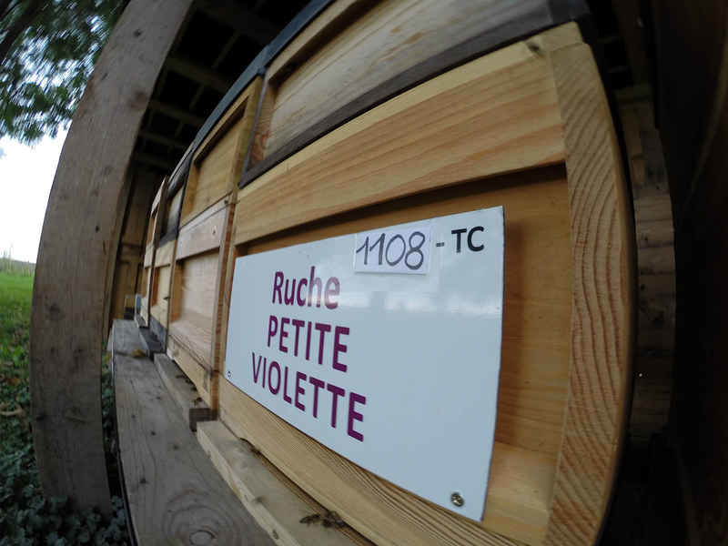 La ruche Petite violette
