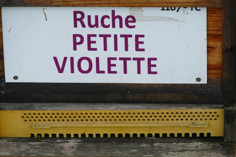 La ruche Petite violette