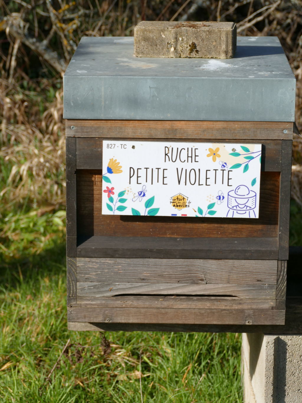 La ruche Petite violette