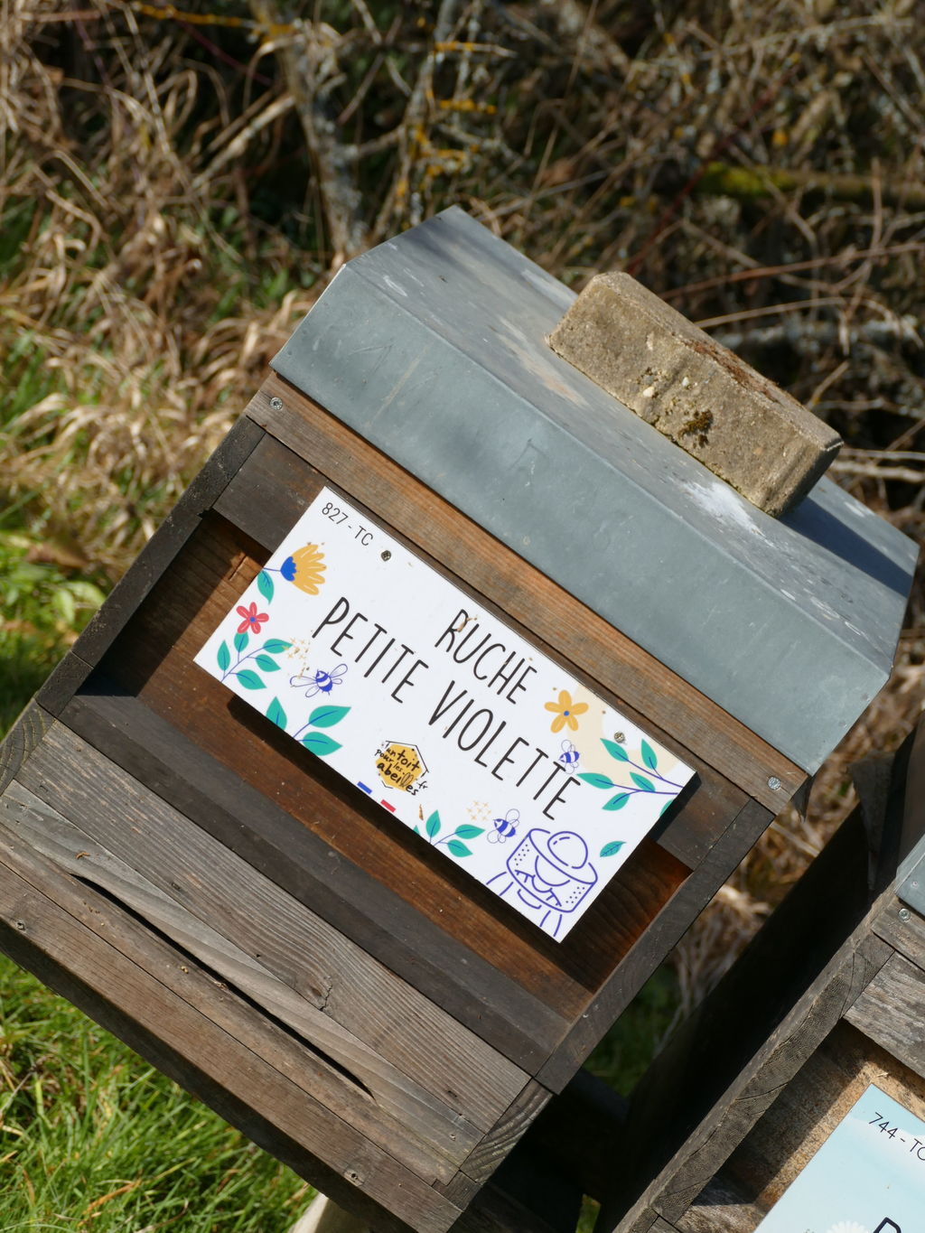 La ruche Petite violette