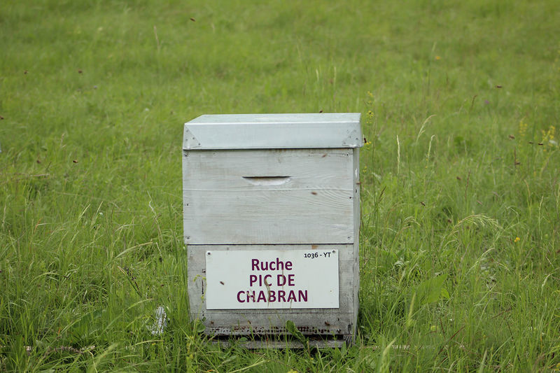 La ruche Pic de Chabran