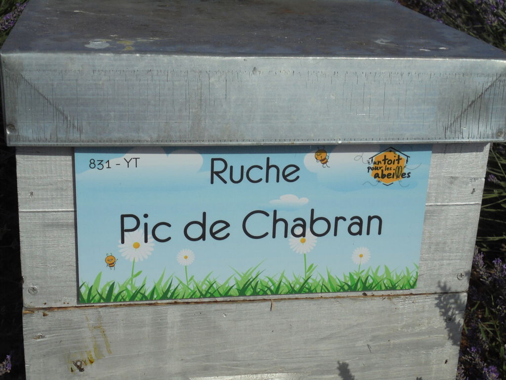 La ruche Pic de Chabran