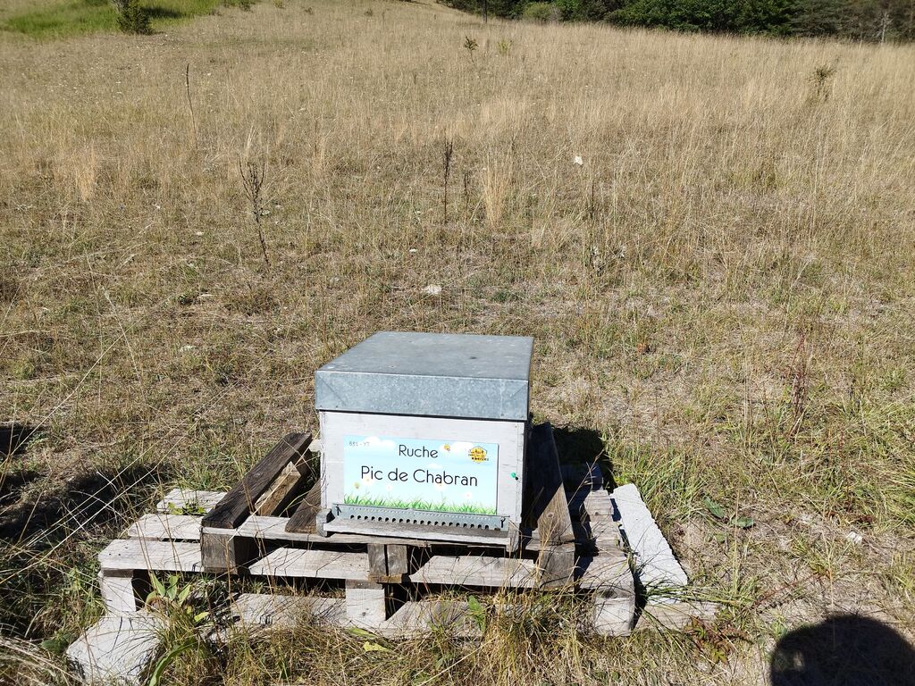 La ruche Pic de Chabran