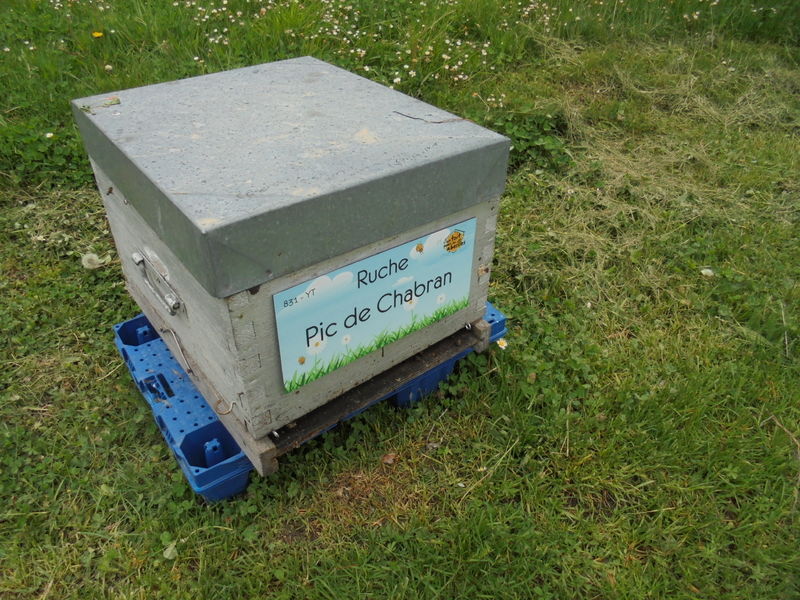 La ruche Pic de Chabran