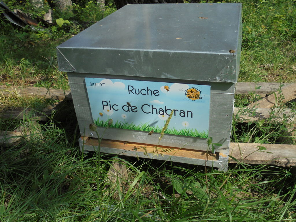 La ruche Pic de Chabran