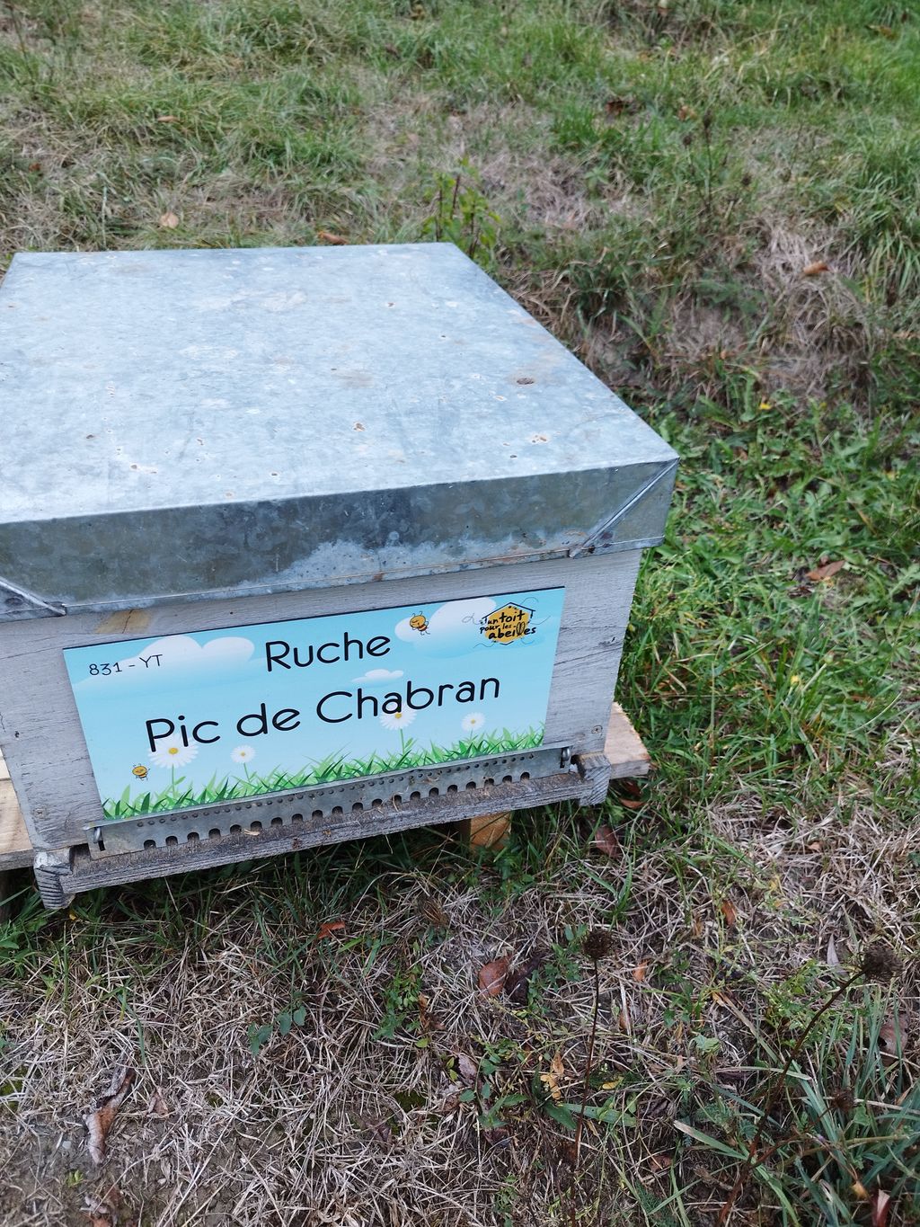 La ruche Pic de Chabran