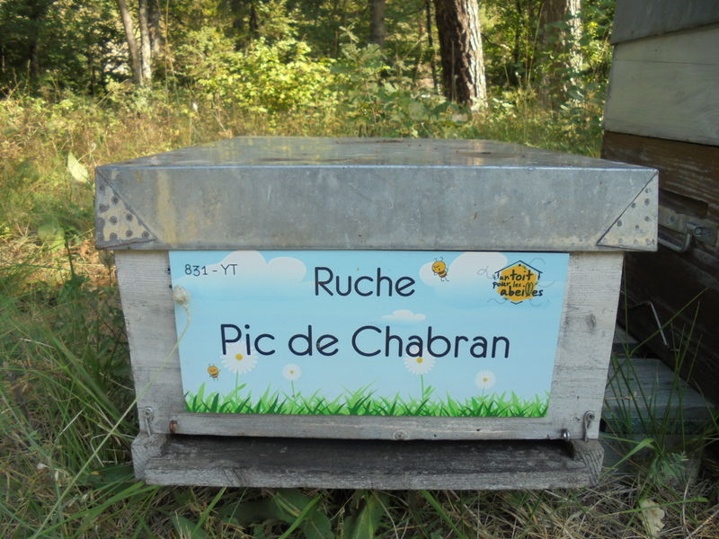 La ruche Pic de Chabran