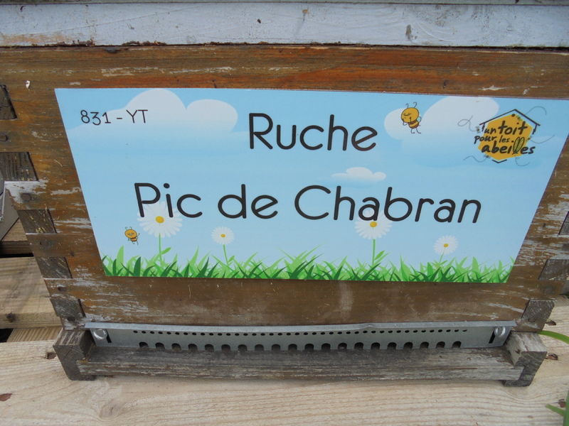 La ruche Pic de Chabran