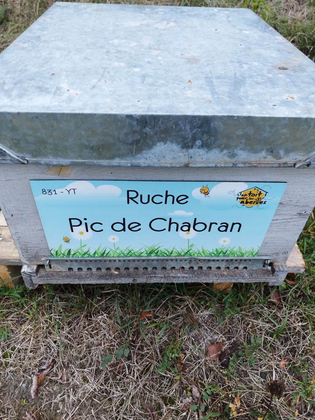 La ruche Pic de Chabran