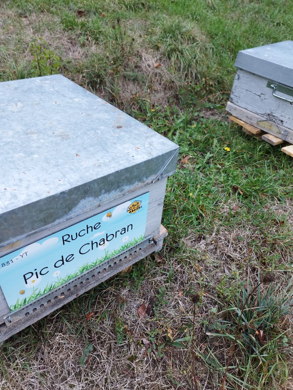 La ruche Pic de Chabran