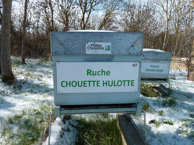 La ruche