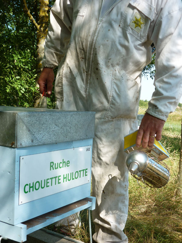 La ruche Chouette hulotte