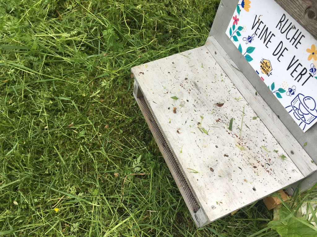 La ruche Veine de vert