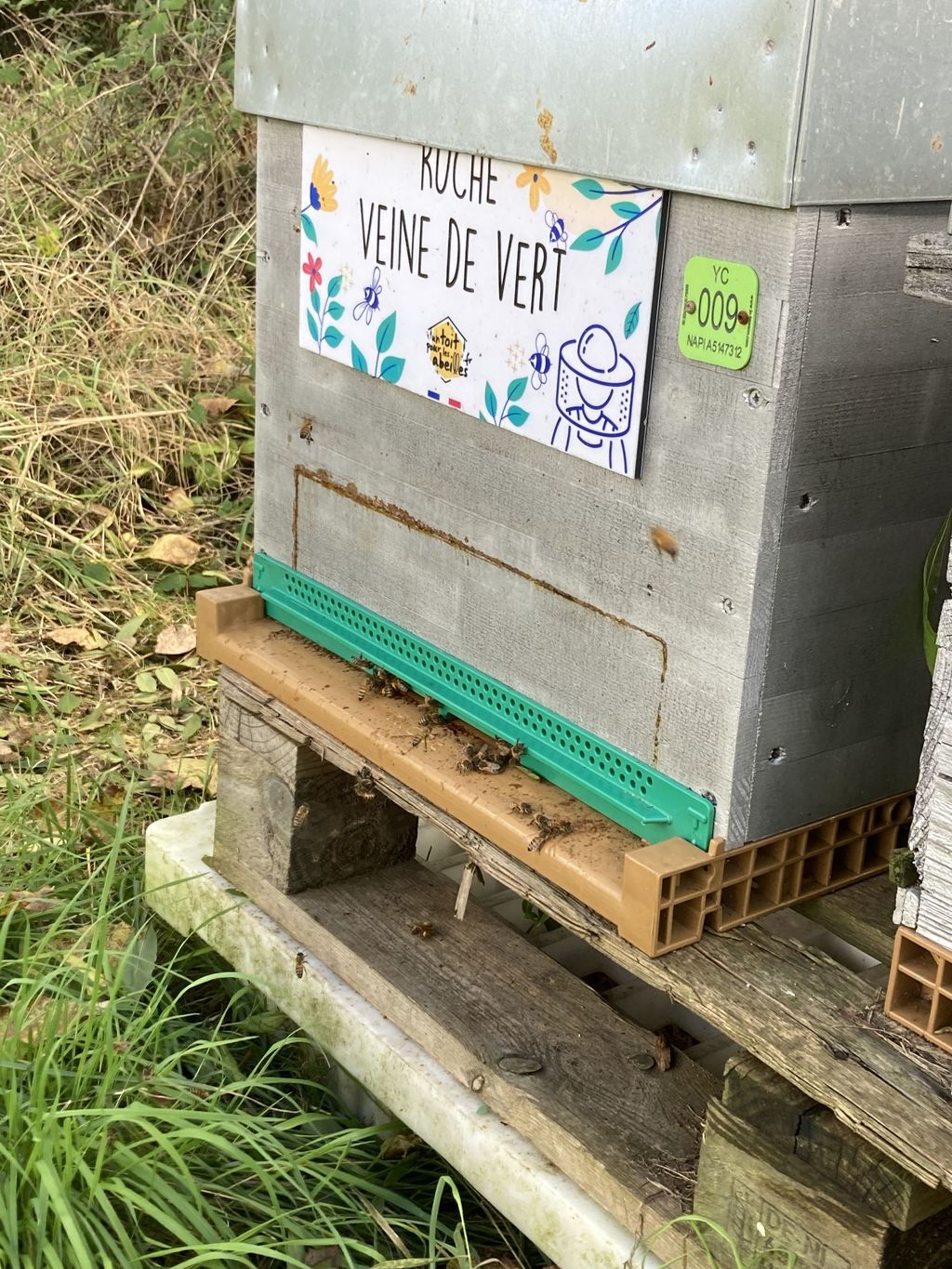 La ruche Veine de vert