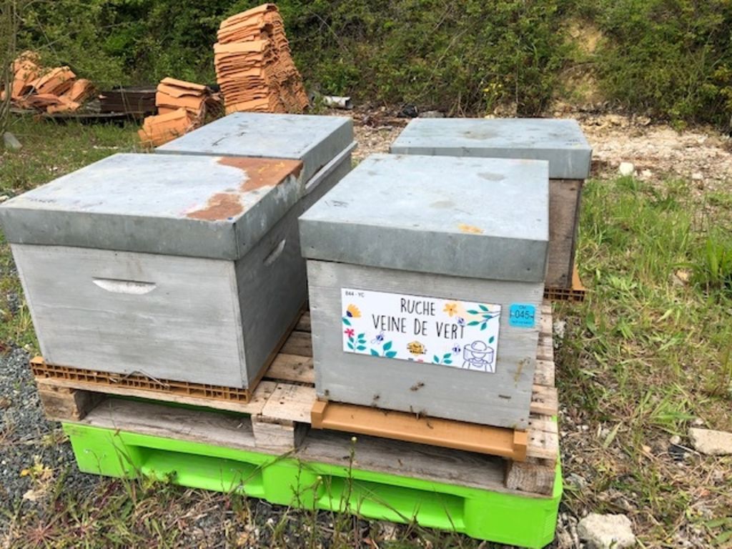 La ruche Veine de vert