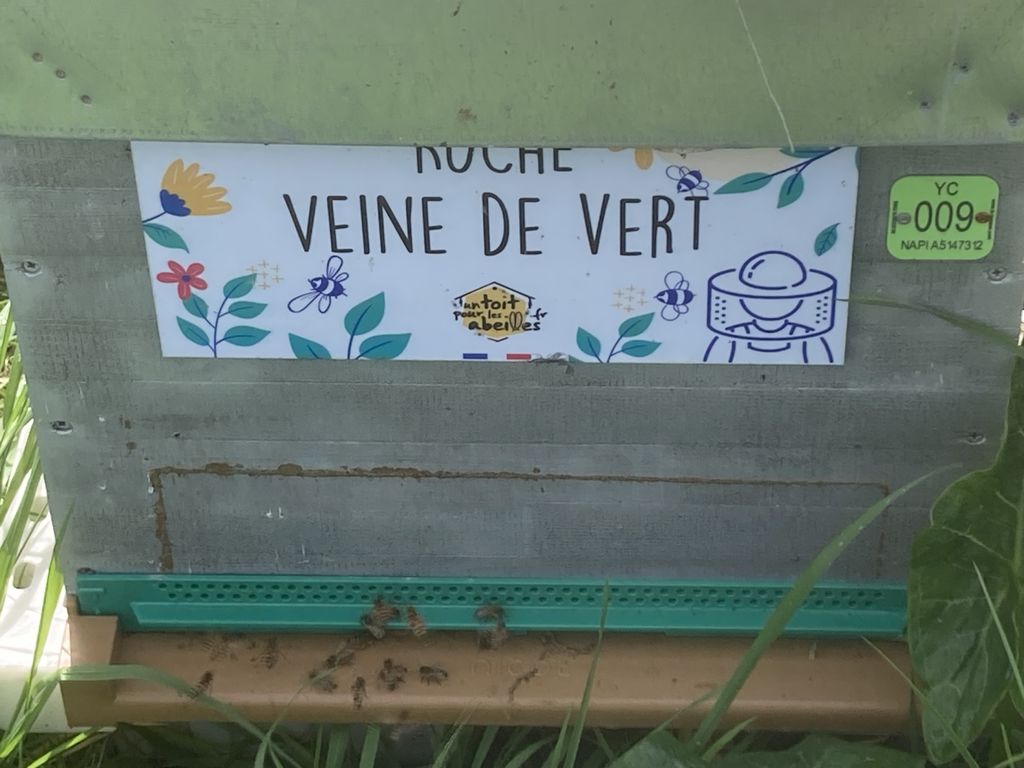 La ruche Veine de vert