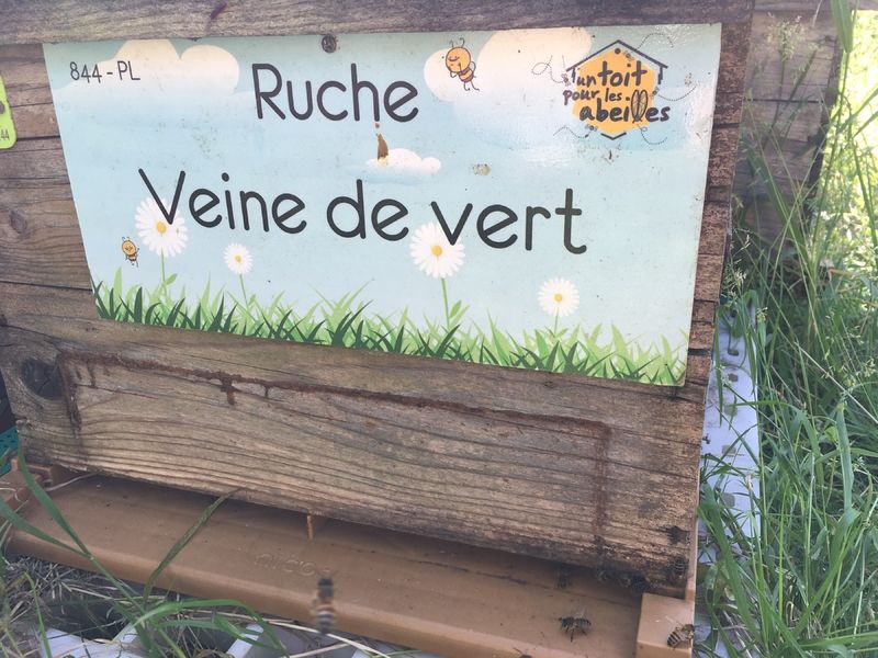 La ruche Veine de vert