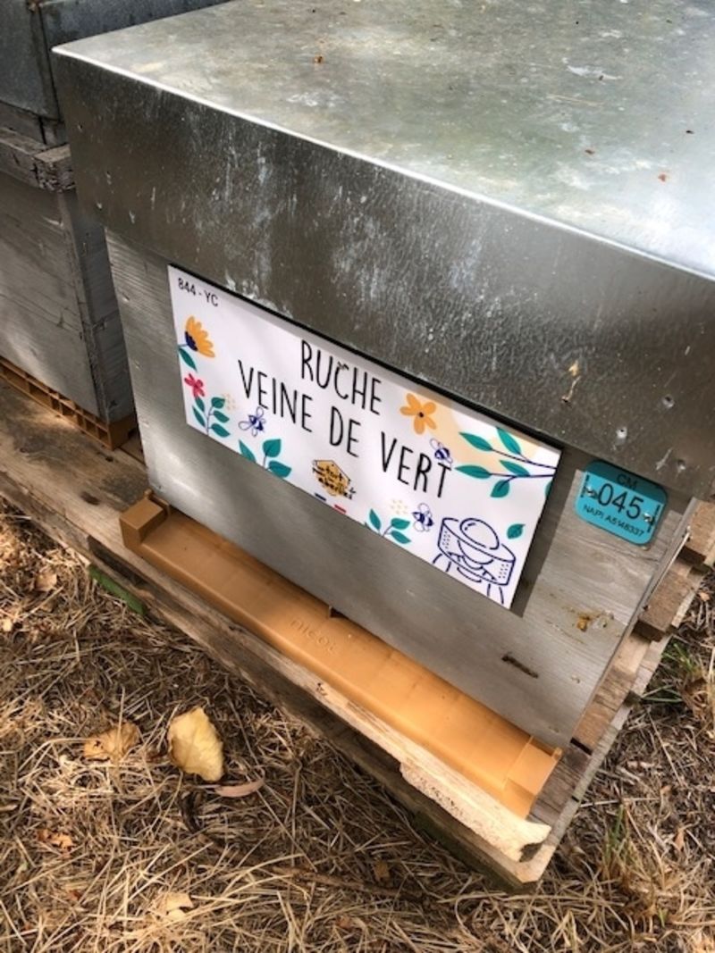 La ruche Veine de vert