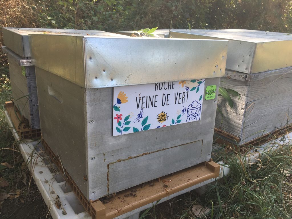 La ruche Veine de vert