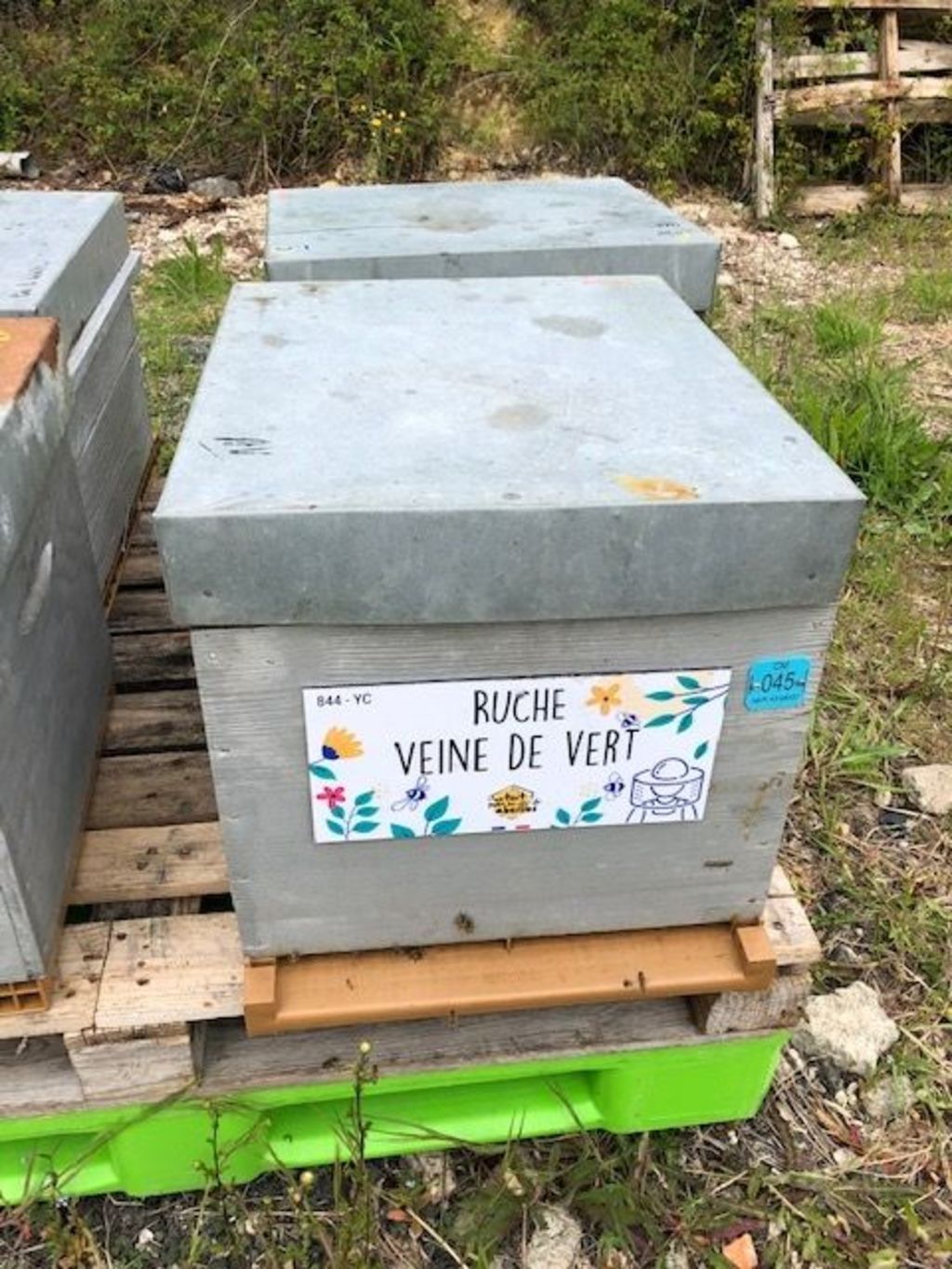 La ruche Veine de vert