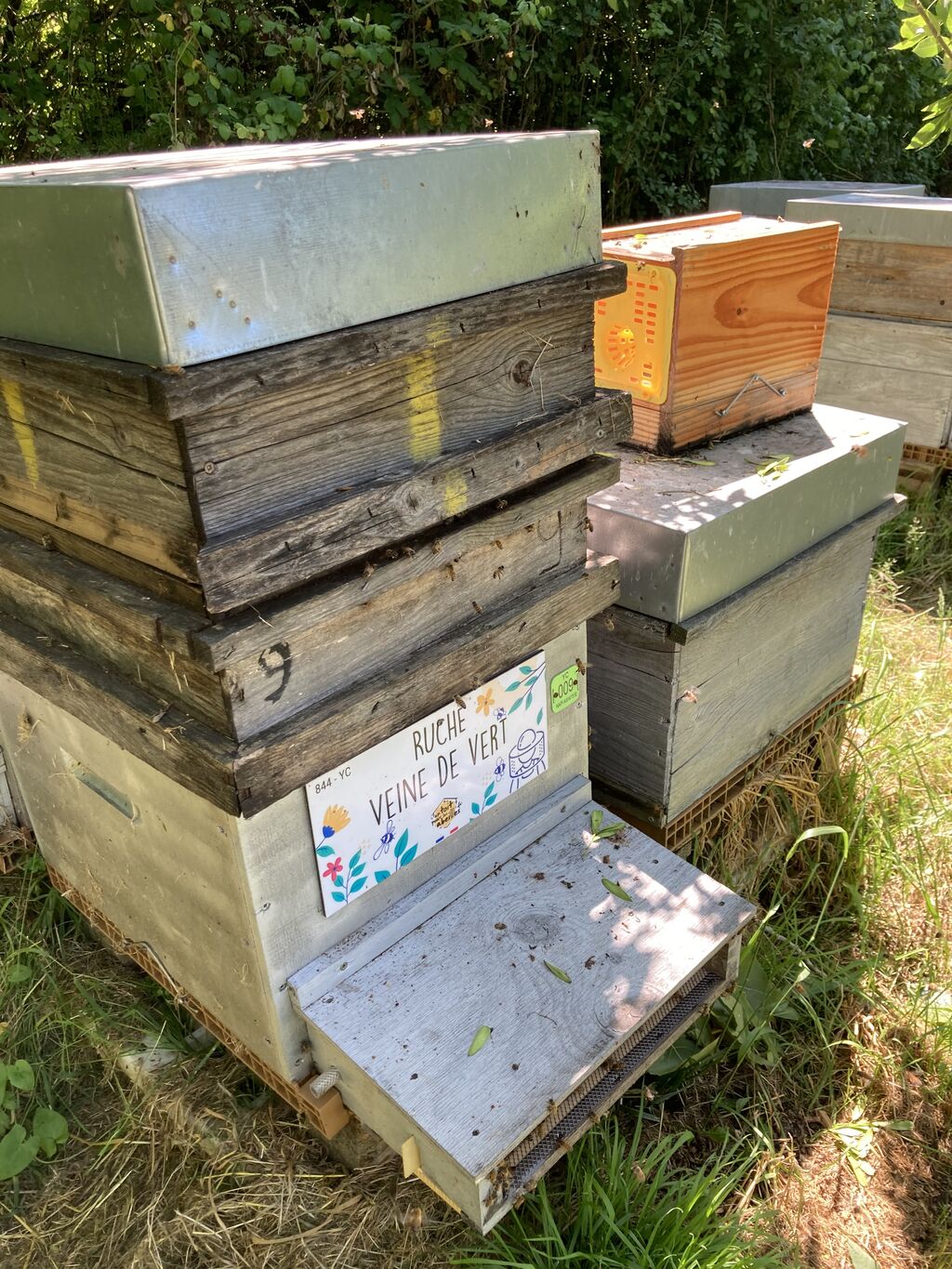 La ruche Veine de vert