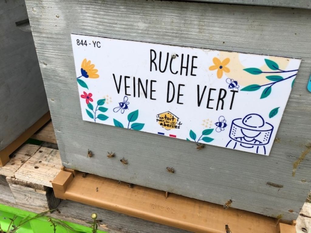 La ruche Veine de vert