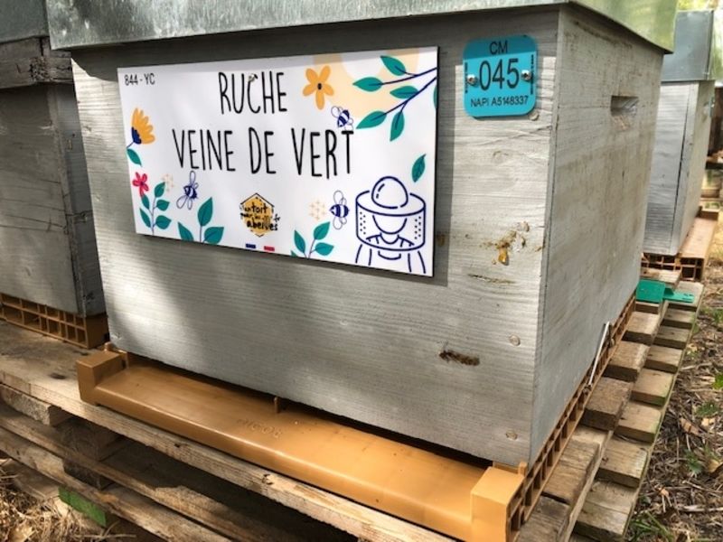 La ruche Veine de vert