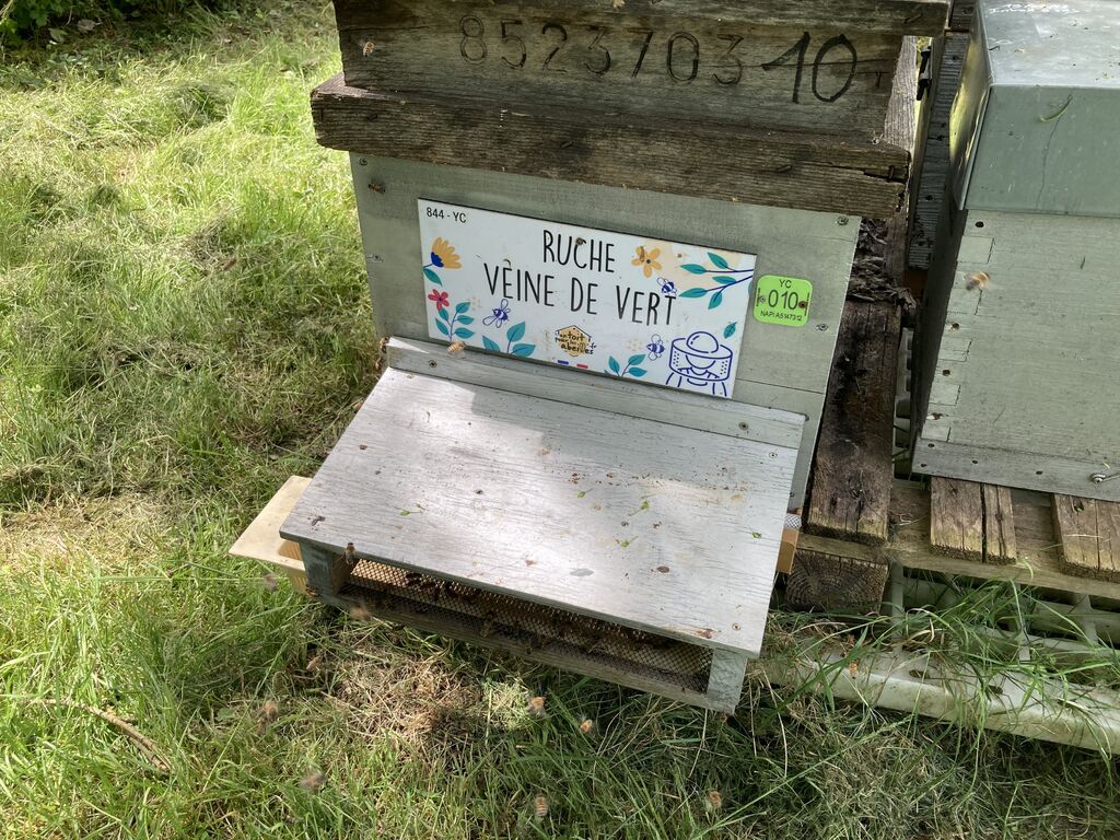 La ruche Veine de vert