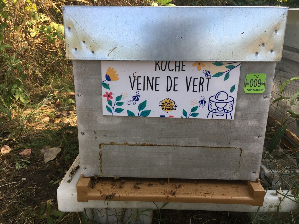 La ruche Veine de vert