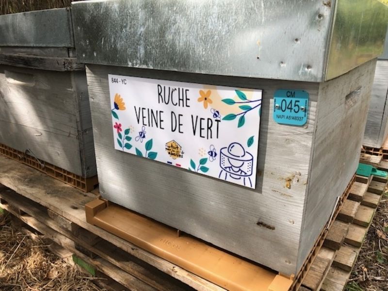 La ruche Veine de vert