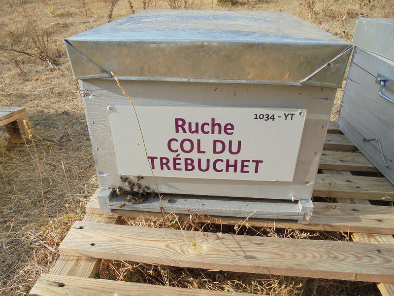La ruche Col du Trébuchet